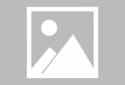 林尼爆料最新消息新闻报道,揭秘新闻报道背后的真相